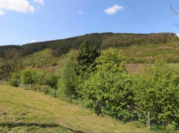 Holiday home Afan House